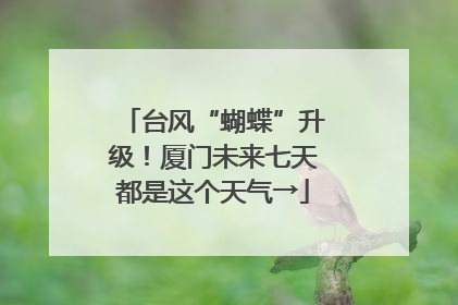 台风“蝴蝶”升级！厦门未来七天都是这个天气→