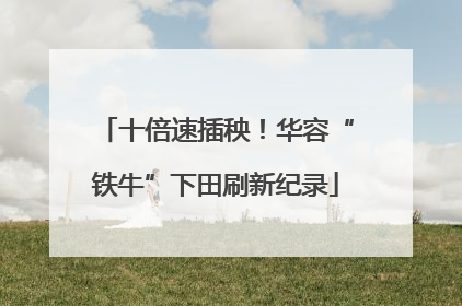 十倍速插秧！华容“铁牛”下田刷新纪录