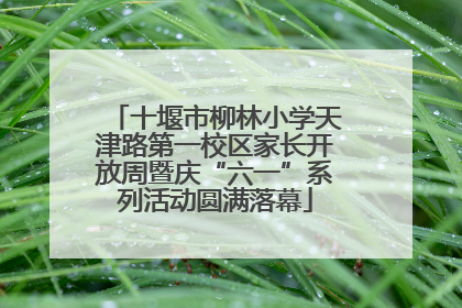 十堰市柳林小学天津路第一校区家长开放周暨庆“六一”系列活动圆满落幕