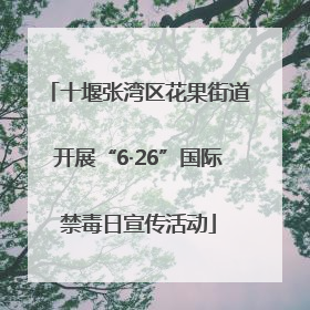 十堰张湾区花果街道开展“6·26”国际禁毒日宣传活动