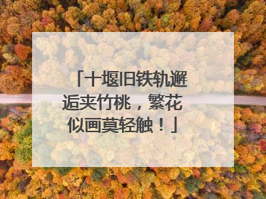 十堰旧铁轨邂逅夹竹桃，繁花似画莫轻触！