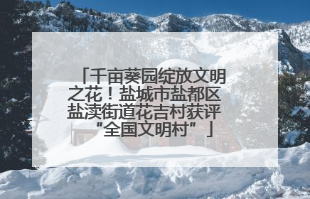 千亩葵园绽放文明之花！盐城市盐都区盐渎街道花吉村获评“全国文明村”