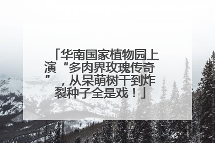 华南国家植物园上演“多肉界玫瑰传奇”，从呆萌树干到炸裂种子全是戏！