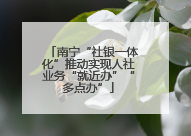 南宁“社银一体化”推动实现人社业务“就近办”“多点办”