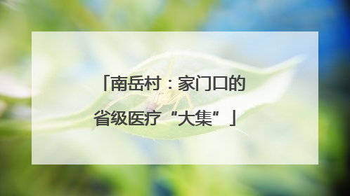南岳村：家门口的省级医疗“大集”