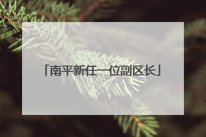 南平新任一位副区长