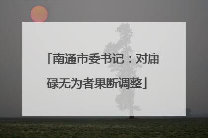 南通市委书记：对庸碌无为者果断调整