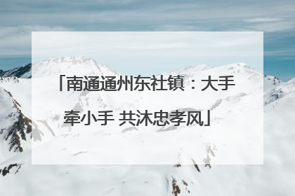 南通通州东社镇：大手牵小手 共沐忠孝风