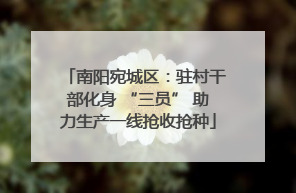 南阳宛城区：驻村干部化身 “三员” 助力生产一线抢收抢种