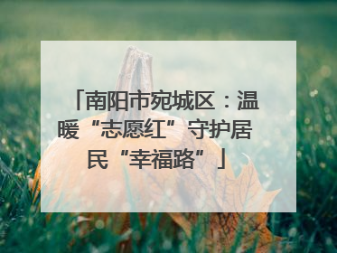 南阳市宛城区：温暖“志愿红”守护居民“幸福路”