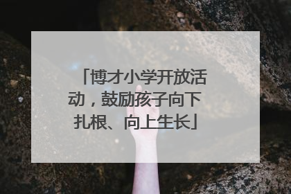 博才小学开放活动，鼓励孩子向下扎根、向上生长