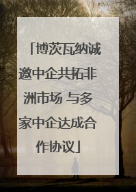博茨瓦纳诚邀中企共拓非洲市场 与多家中企达成合作协议