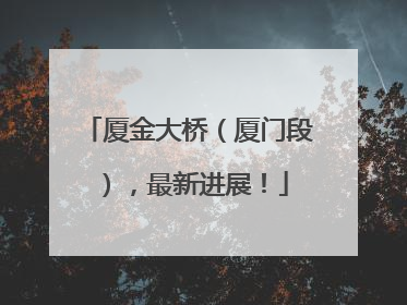 厦金大桥（厦门段），最新进展！