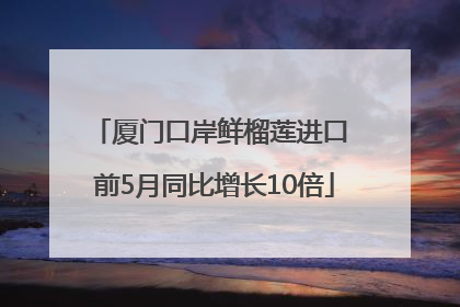 厦门口岸鲜榴莲进口 前5月同比增长10倍