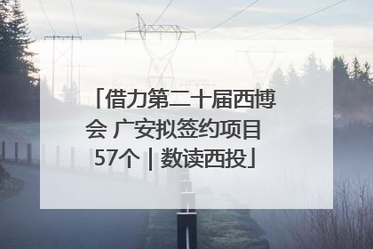 借力第二十届西博会 广安拟签约项目57个｜数读西投
