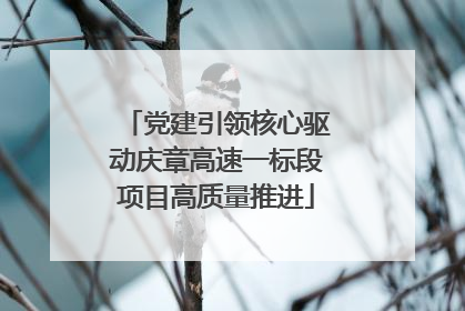 党建引领核心驱动庆章高速一标段项目高质量推进