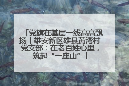 党旗在基层一线高高飘扬丨雄安新区雄县黄湾村党支部：在老百姓心里，筑起“一座山”
