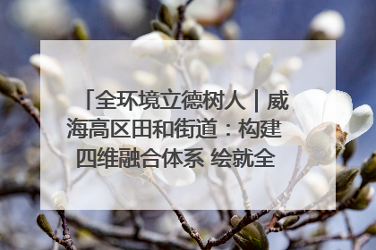 全环境立德树人｜威海高区田和街道：构建四维融合体系 绘就全环境立德树人新画卷