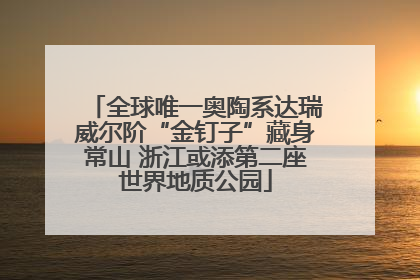 全球唯一奥陶系达瑞威尔阶“金钉子”藏身常山 浙江或添第二座世界地质公园