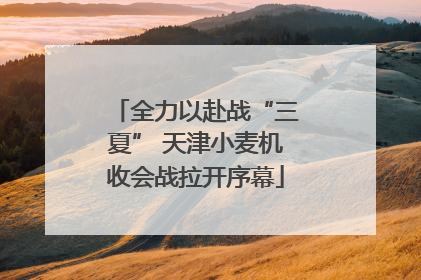 全力以赴战“三夏” 天津小麦机收会战拉开序幕