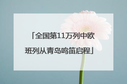全国第11万列中欧班列从青岛鸣笛启程