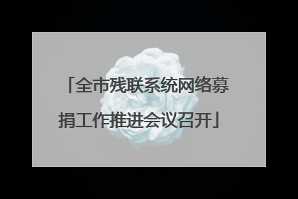 全市残联系统网络募捐工作推进会议召开