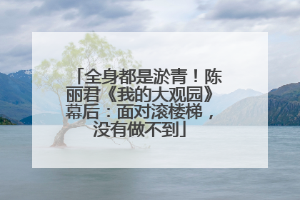 全身都是淤青！陈丽君《我的大观园》幕后：面对滚楼梯，没有做不到