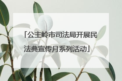 公主岭市司法局开展民法典宣传月系列活动