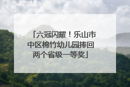 六冠闪耀！乐山市中区棉竹幼儿园捧回两个省级一等奖