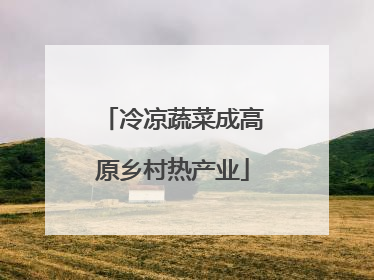 冷凉蔬菜成高原乡村热产业