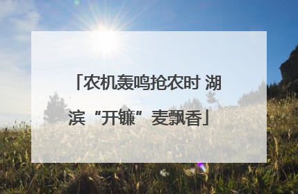 农机轰鸣抢农时 湖滨“开镰”麦飘香