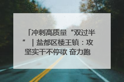 冲刺高质量“双过半”｜盐都区楼王镇：攻坚实干不停歇 奋力跑赢“上半场”