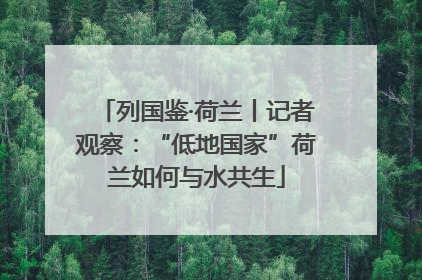 列国鉴·荷兰丨记者观察：“低地国家”荷兰如何与水共生