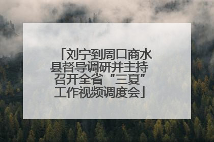 刘宁到周口商水县督导调研并主持召开全省“三夏”工作视频调度会