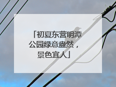 初夏东营明潭公园绿意盎然，景色宜人