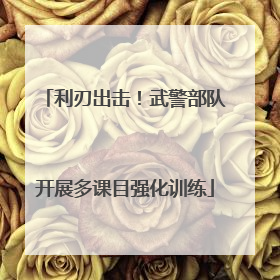 利刃出击！武警部队开展多课目强化训练