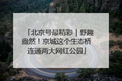 北京号最精彩｜野趣盎然！京城这个生态桥连通两大网红公园