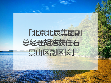 北京北辰集团副总经理胡浩获任石景山区副区长