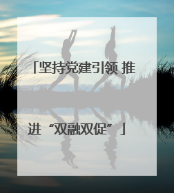 坚持党建引领 推进“双融双促”