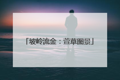 坡岭流金：萱草图景