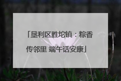 垦利区胜坨镇：粽香传邻里 端午话安康