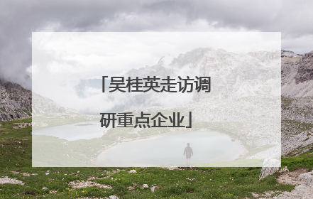 吴桂英走访调研重点企业