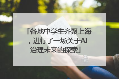 各地中学生齐聚上海，进行了一场关于AI治理未来的探索