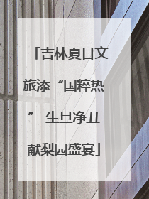 吉林夏日文旅添“国粹热” 生旦净丑献梨园盛宴