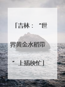 吉林：“世界黄金水稻带”上插秧忙
