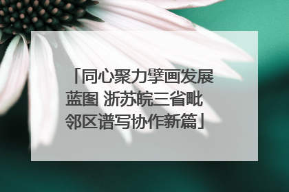 同心聚力擘画发展蓝图 浙苏皖三省毗邻区谱写协作新篇