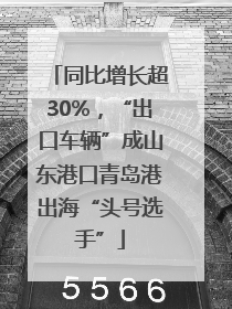 同比增长超30%，“出口车辆”成山东港口青岛港出海“头号选手”
