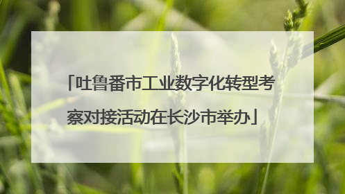 吐鲁番市工业数字化转型考察对接活动在长沙市举办