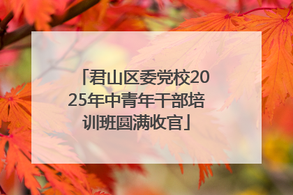 君山区委党校2025年中青年干部培训班圆满收官