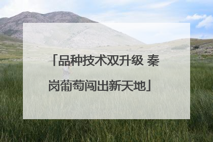 品种技术双升级 秦岗葡萄闯出新天地